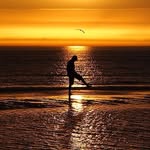 Wayne - @wayne_thaler - Instagram