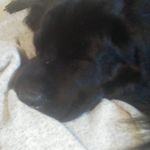 Wayne Tharp - @wayne_tharrp - Instagram
