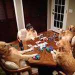 Wayne Theriault - @waynetheriault - Instagram