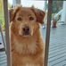 Wayne Theriault - Facebook