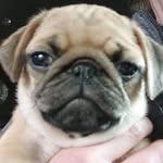 Wayne Thibeault - @ineedajobnow2022 - Instagram