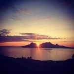 Thorne Wayne - @wayne.thorne.77 - Instagram