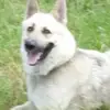 Wayne Tidwell - @wayne.tidwell6 - TikTok