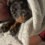 Titus Wayne - @titus_wayneee - Instagram