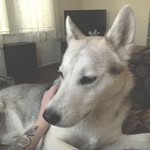 Ernie Wayne Trahan - @ernie.boii - Instagram
