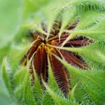 Wayne Trahan - @waynetrahan62 - Instagram