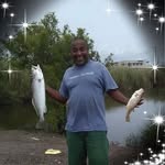 Wayne Trahan - @wayne.trahan.104 - Instagram