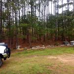 @wayn.etrammell - Instagram