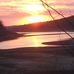 Wayne Trammell - Facebook