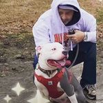 WAYNE TRAMMELL - @trammell_1 - Instagram