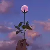 Wayne Tran - @waynetran109 - TikTok