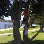 Wayne Tran - @wynn028 - Instagram