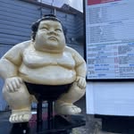 Wayne Tran - @wangsworldcollectible - Instagram