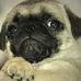 Wayne Travis - Facebook
