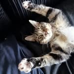 Wayne Treadwell - @waynetreadwell0 - Instagram