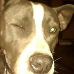 Wayne Triplett - @tripledwayne42 - Instagram