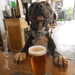 Wayne Trotter - @alfi.e7787 - Instagram