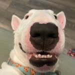 Wayne Trusty - @wdog69420 - Instagram