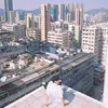 Wayne Tsang - @31619353937 - TikTok