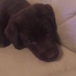 Wayne Turnage - @wayneturnage2 - Instagram