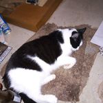 Wayne Turnbull - @turnbull9824 - Instagram