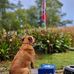 Wayne Turpin - Facebook