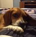 Wayne Trombly - Facebook