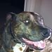 Wayne Tyrrell - Facebook