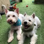 Wayne Tyson - @tyson_travels - Instagram