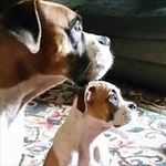 Wayne Bruhl - @waynebruhl - Instagram