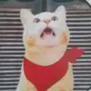 wayne Valenzuela - @wayne.valenzuela1 - TikTok