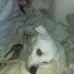 Wayne Vancamp - Facebook