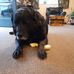 Wayne Cleave - Facebook