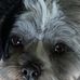 Wayne Van Cleave - Facebook