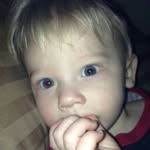 Wayne Vanderhoff - @wvan1118 - Instagram