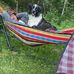 Wayne Van Dusen - Facebook