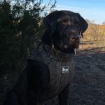 Wayne Vannucci - @coachwayne03 - Instagram