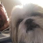 Wayne VanOver - @dwv67 - Instagram