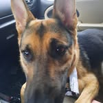 Jerry Wayne Vaughn - @jerryvaughn43 - Instagram