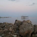 Wayne Vaughn - @waynevaughn2384 - Instagram