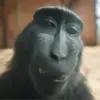 dad14356 - @wayneviado - TikTok
