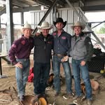 Wayne Vold - @waynevold - Instagram