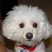 Wayne W. Vogt - Facebook
