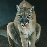 Wayne Wadley - @wadleywayne - Instagram