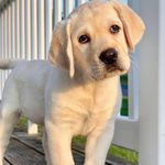 Wayne wai - @wang_wai609 - Instagram