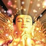 Wayne Wai - @wai.wayne - Instagram
