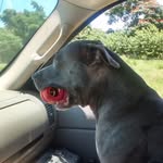 Wayne Waite - @wayne.waite.520 - Instagram