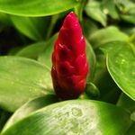 Wayne Waller - @waynewaller58 - Instagram