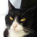 Gotham Wayne Bresett-Walrath - Facebook