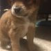 Wayne Walrath - Facebook